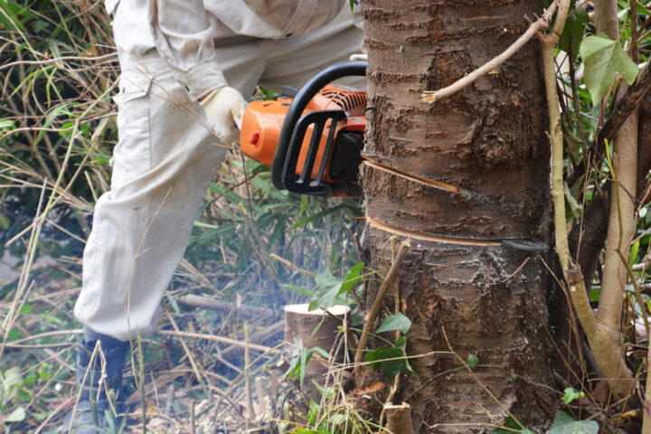 <strong>作業開始</strong>