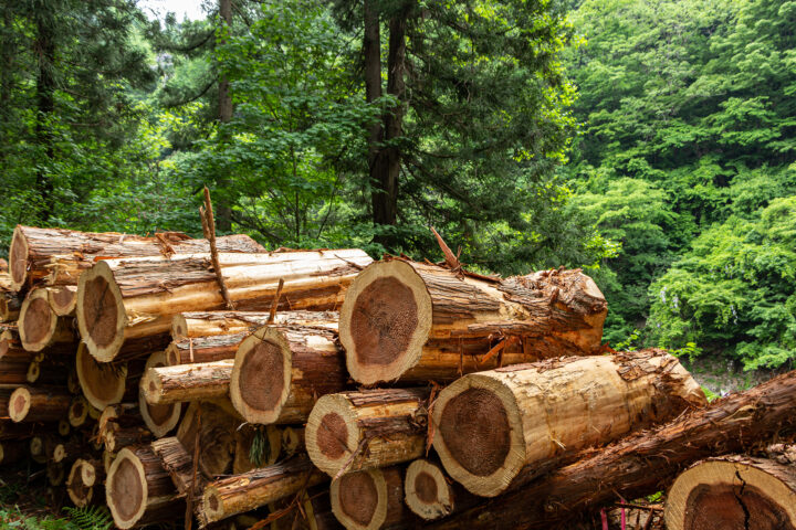 <strong>作業完了・確認</strong>