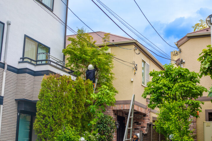 庭木・大木伐採、処分 | 埼玉県の橋本興業有限会社の画像